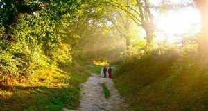 20130814130156-Camino-de-Santiago-2005-278-1024x550