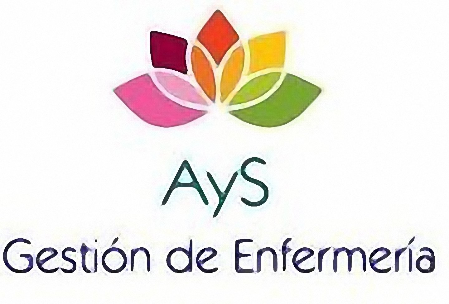 El año de Gestión de Enfermería