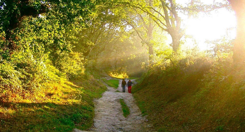 El camino a seguir, #lpdgde