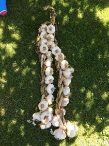 Feria del ajo de Zamora