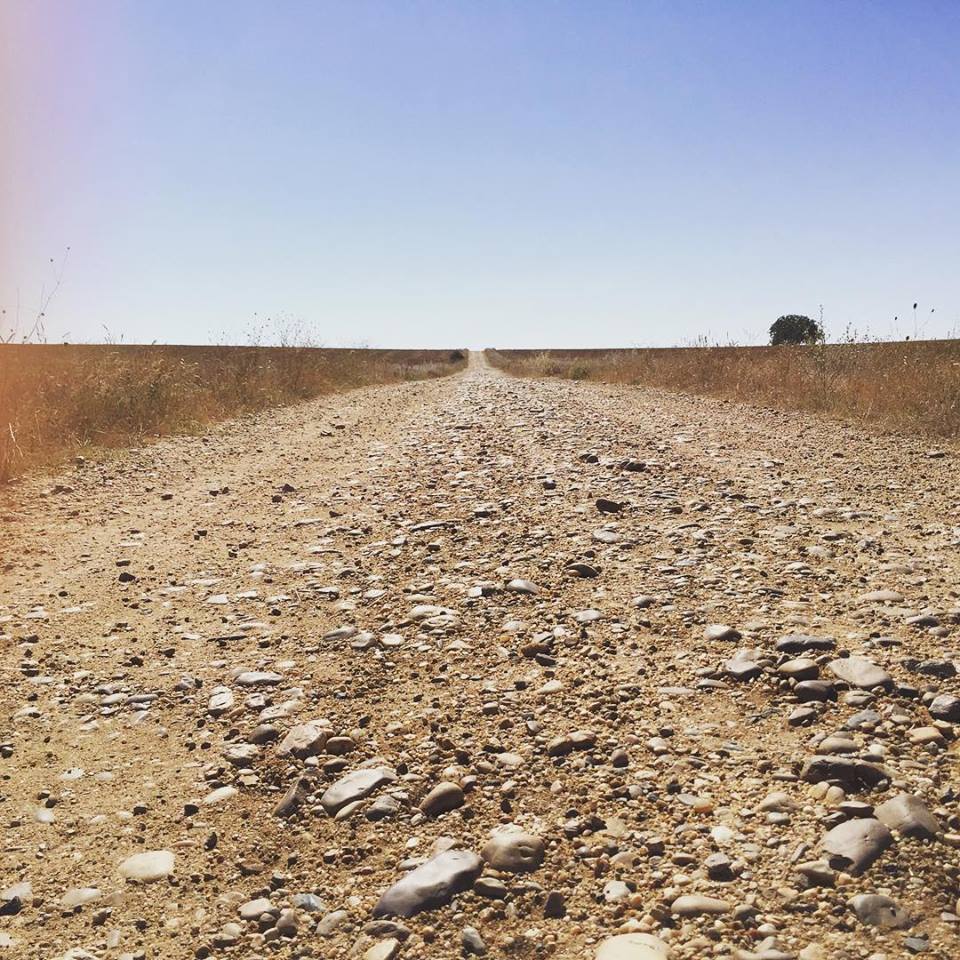 11800110_10204909556994959_1118343758486173967_n