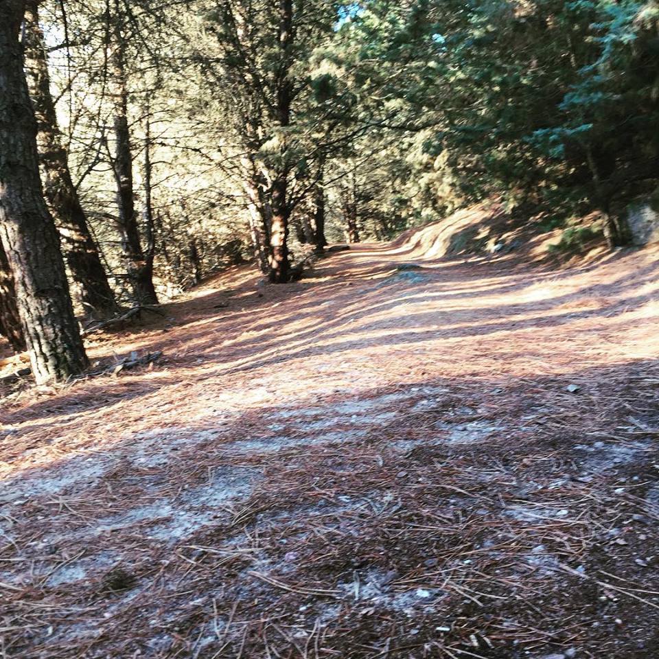 11824986_10204904252422348_6405119412502123992_n