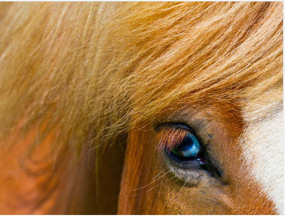 El poder como base de influencia