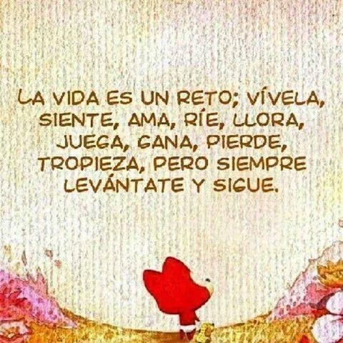 Gestión del fracaso en las organizaciones sanitarias