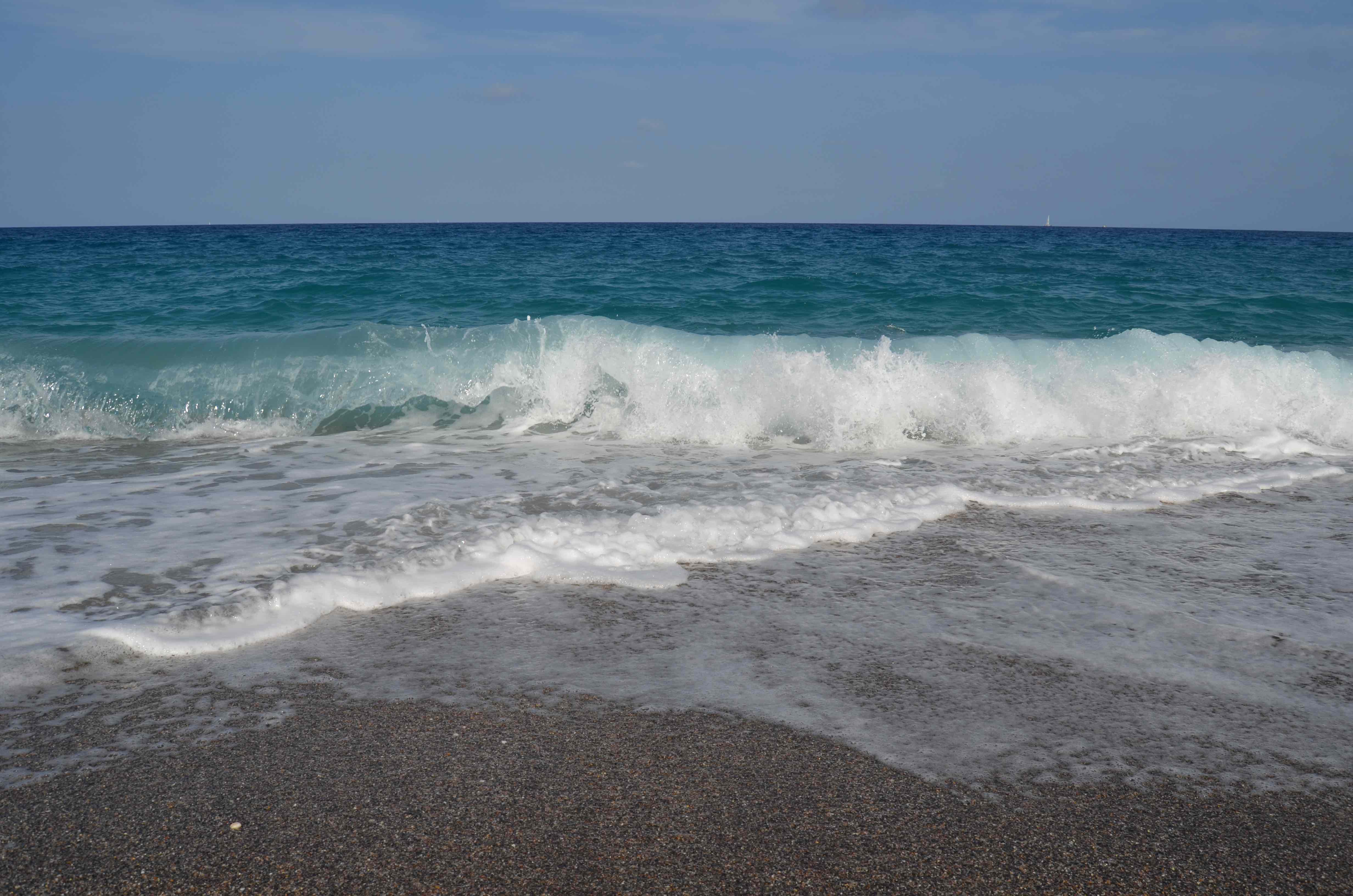 Los iBooks de gestión de enfermería