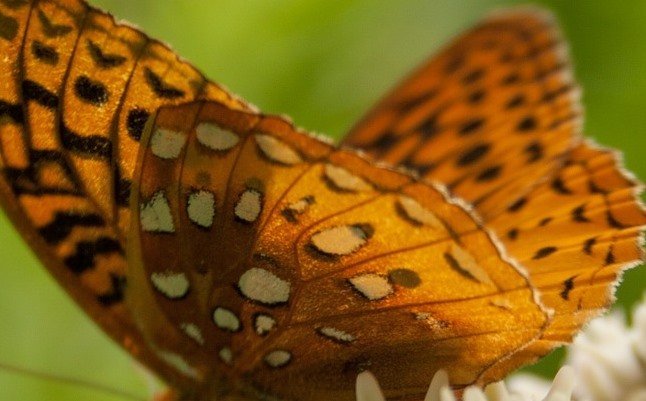 proceso-del-cambio-personal-1