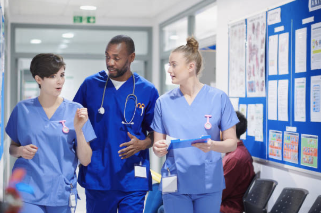 metas y valores culturales de la organización sanitaria