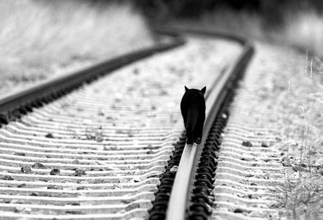 camino-equivocado